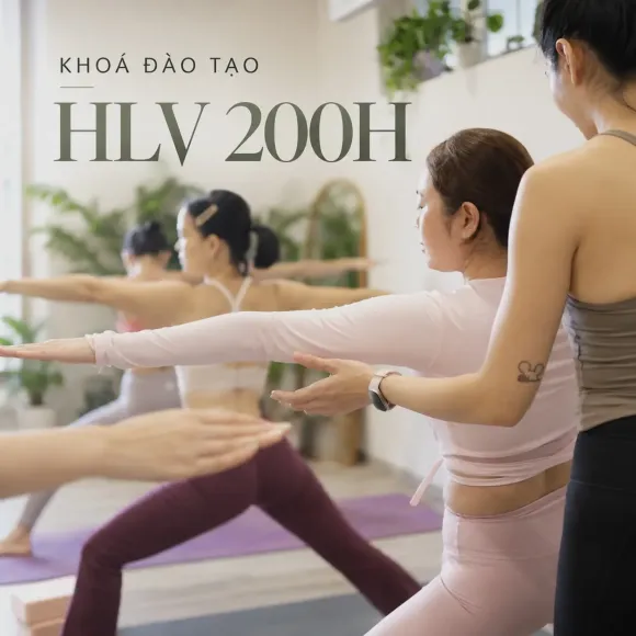 YOGA CĂN BẢN DÀNH CHO NGƯỜI MỚI